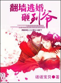 翻墙逃婚,砸到爷