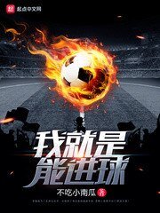 我就是能進球