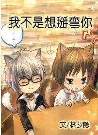 我不是想掰弯你