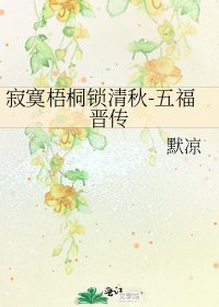 寂寞梧桐锁清秋-五福晋传