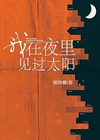 我在夜裏見過太陽