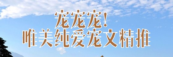宠宠宠！唯美纯爱宠文精推